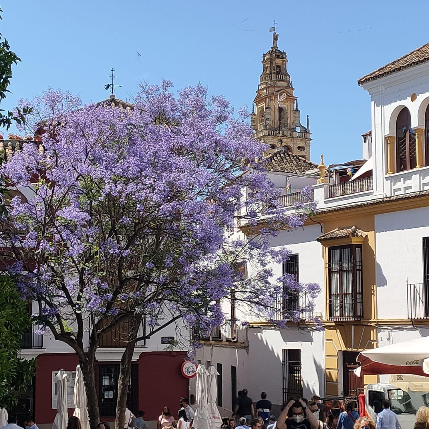 A 20 Metros De La MEZQUITA CATEDRAL ,APARTAMENTOS TURISTICO CESPEDES 5 Córdoba Quarto foto